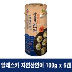 CJ 계절어보 알래스카 자연산연어 100gX6캔, 1개, 100g