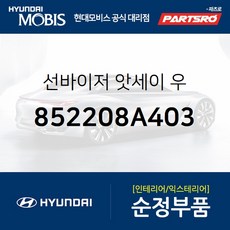 순정 선바이저(햇빛가리개) 우측(조수석) (852208A403) 에어로 스페이스 에어로 퀸/익스프레스