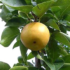 3361e372eb4a9c6e5855833354eeba156e5c971788921097d3a36b9c37c8.jpg