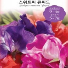 목단피