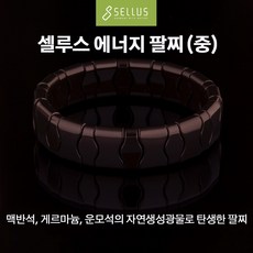 셀루스 에너지 팔찌(중)블럭형, 1개