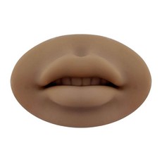 실리콘입술모형