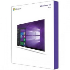 Windows10 Pro (처음사용자용/한글/FPP패키지/32+64bit/USB), 留