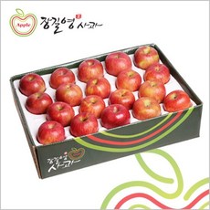 [장길영사과] 사과 중과 5kg(17~19과), 1개, 상세 설명 참조