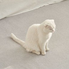 기타 [뷰티풀마인드]로망스소프트방수사계절러그200x300cm(대형)