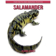 Salamander: Fun Facts and Amazing Photos Paperback, Independently Published