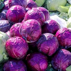 58fc7dafbeef461dc78b5a57f61ccbabde4c1ce346a1cf6f17007f12d84b.jpg