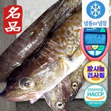 생물 냉동 or 생대구 2kg 비손질 3-5마리 급냉 동해 대구매운탕 고니 알탕 흰살생선 조림 대구탕 대구지리탕 산지직송, 1개