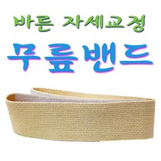 흉추보조기