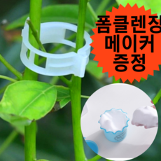 고추끈매는클립