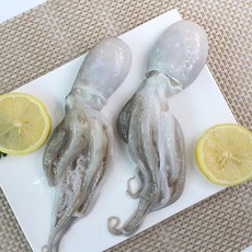 [서해직송] 자연산 쭈꾸미 1kg, 단품