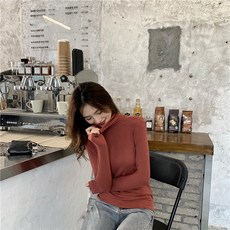 빨간벽돌가격