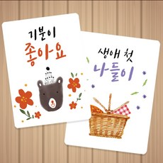 성장카드세트