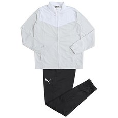 퓨마