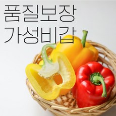 빨강 노랑 파프리카 피망 프레시 유기농 무농약 친환경 빨간 노란 못난이 파프리카 미니 혼합 1kg 5kg 1박스, 1.상급, 3-1. 노란 파프리카 1kg