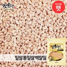 //상품명