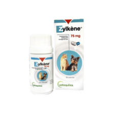 고양이펠리웨이