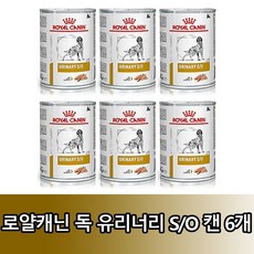 로얄캐닌유리너리스몰독