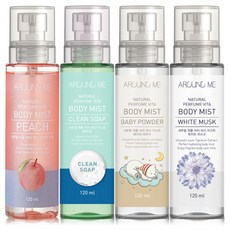 어라운드미바디미스트