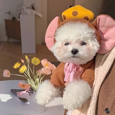 [당일출고/빠른배송] 강아지옷 톰과제리 컨셉 촬영 후드, 브라운, 1개