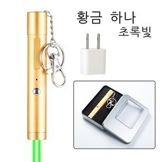장거리레이저포인터기