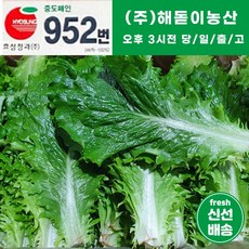 해돋이농산 국내산 청로메인 2kg, 1박스