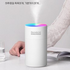 파라미불꽃가습기