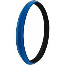 SCHWALBE INSIDER(인사이더) 700x23C 310g 롤러 트레이닝전용타이어