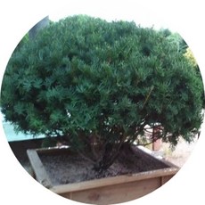 f88a8f3f5e76d4f05af2954e6e3037a55a0bb163b569793be7f86b6e0b18.jpg