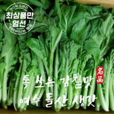 톡 쏘는 맛 여수 돌산갓 생갓 5kg 10kg, 1박스, 여수 돌산생갓 5kg