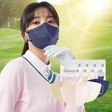 버즈핏씬라이트