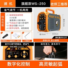 WS-200 250 알곤 아르곤 용접기 가정용 소형 스테인리스 미니 220V, WS-250 플래그십