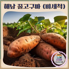 [돋을볕] 해남 꿀 고구마 100% 친환경농법 (NO 살충제) / 특상, 1박스, (비세척) 특상 2kg (개당 120-200g)