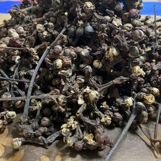 지리산 산청 헛개열매 지구자열매 헛개나무 300g, 1개