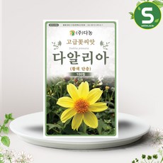 솔림텃밭몰 황색단층 다알리아씨앗 100립 다알리아 꽃씨앗, 1개