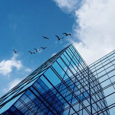 조류충돌방지필름