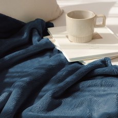 더자리마이블랭킷극세사담요