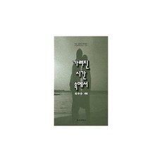 가려진시간소설