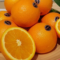 a1e24474e1c3d91ab22ea59e8ab2e4472cbbcfca1614f4dcd388fd2c4f74.jpg
