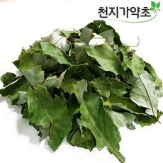 (롯데택배발송) 천지가약초 참가시나무잎 1200g(300gX4봉) 청정제주산 참가시나무, 4개, 300g