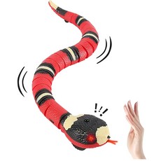 바램펫피트니스고양이