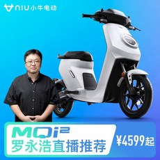 전기자전거 전기로드자전거 전기바이크 배달용 출퇴근용 광주 자기 언급 매버릭스 MQI2 청소년 새로운 국가 표준 매버릭스 M2 의 76 76, 자동차 예약 보증금, 48V