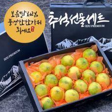 황금향 제주 추석선물세트 과일세트 1.5키로 대과 (04개~06개 내외), 1개
