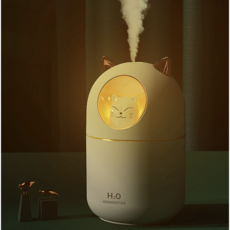 휴대용충전식미니가습기프롬비흰둥이가습기300ml