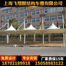 13d13bfe621e9ff5bfd9b09e9b6d75b548a461d9fc40d55cf07c293b0ce8.jpg