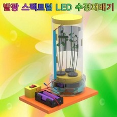 콩나물키우기5인용