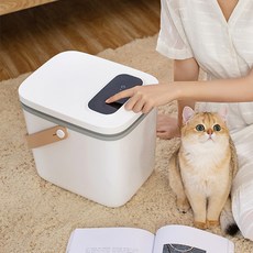 반지호수가이드