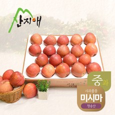 산지애 알뜰 못난이사과(중과) 4.5kg 1box 당도선별 청송산 미시마, 단품