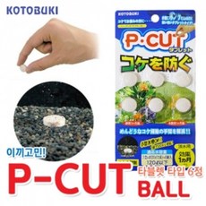 고토부키 P-CUT BALL / 이끼 녹조 제거 및 방지 유막 백탁 악취 제거, 1개