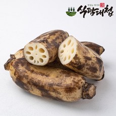 식탐대첩 국내산 비세척 생연근 1kg 특품 크기혼합, 1개